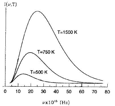 wpe2.jpg (13505 bytes)